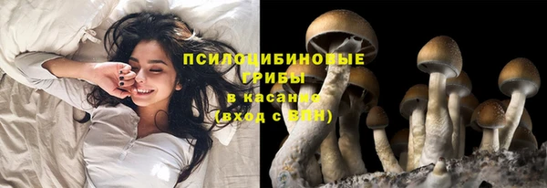 стаф Алексеевка