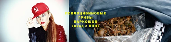 стаф Алексеевка