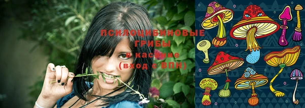 стаф Алексеевка