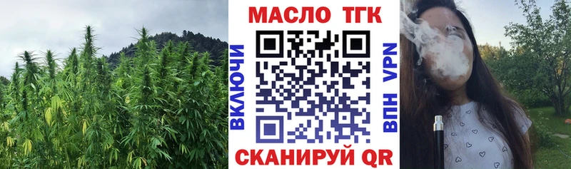 продажа наркотиков  ссылка на мегу   Дистиллят ТГК THC oil  Гурьевск 