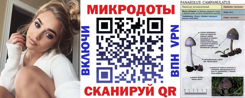 сайты даркнета клад  Гурьевск  Галлюциногенные грибы GOLDEN TEACHER 