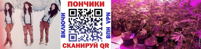 Шишки марихуана White Widow  гидра сайт  Гурьевск 